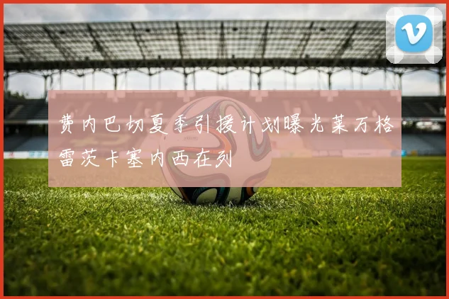 费内巴切夏季引援计划曝光莱万格雷茨卡塞内西在列